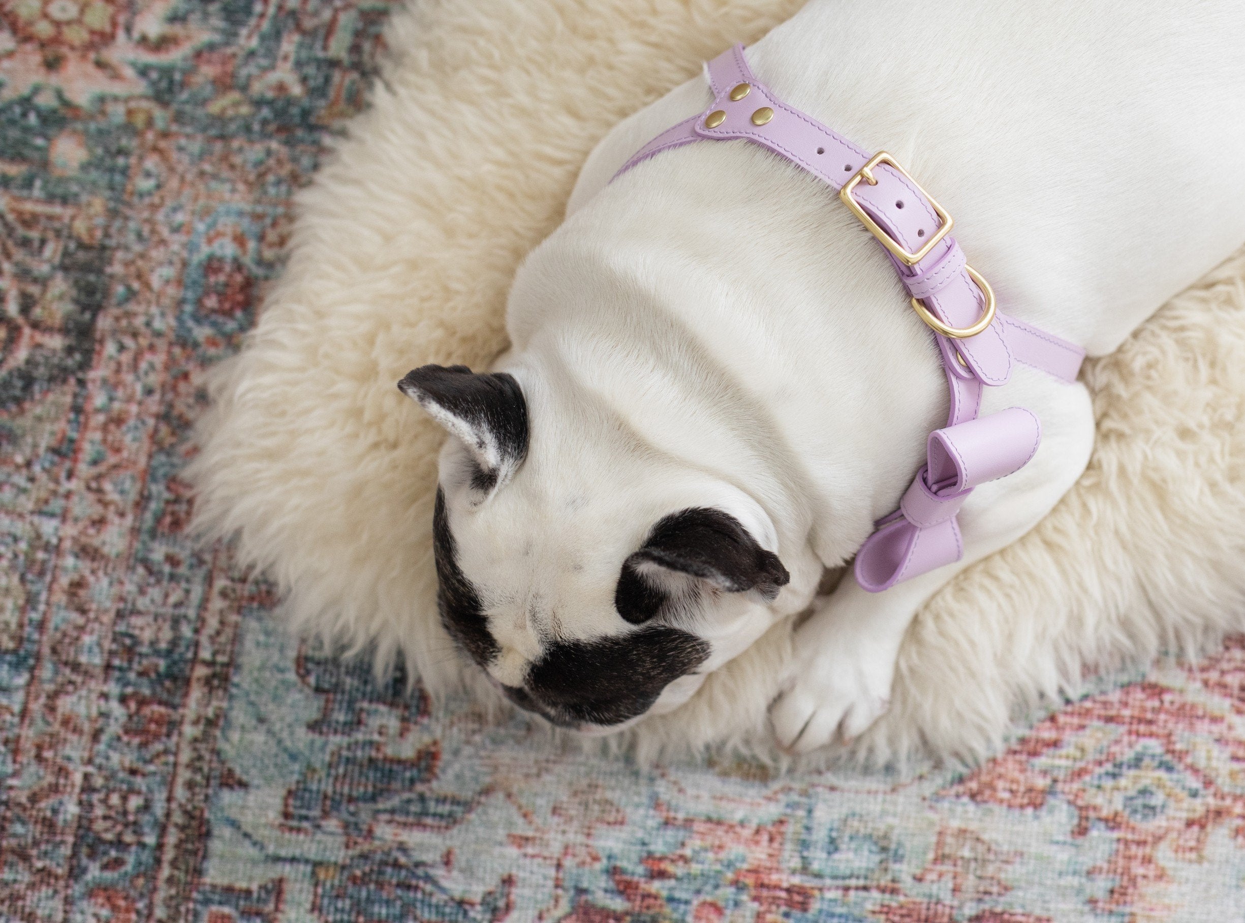 Lilac leather bow