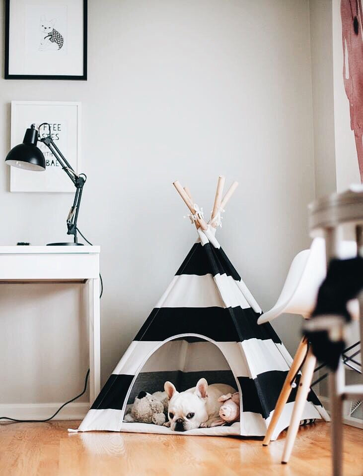 Striped Dog Teepee