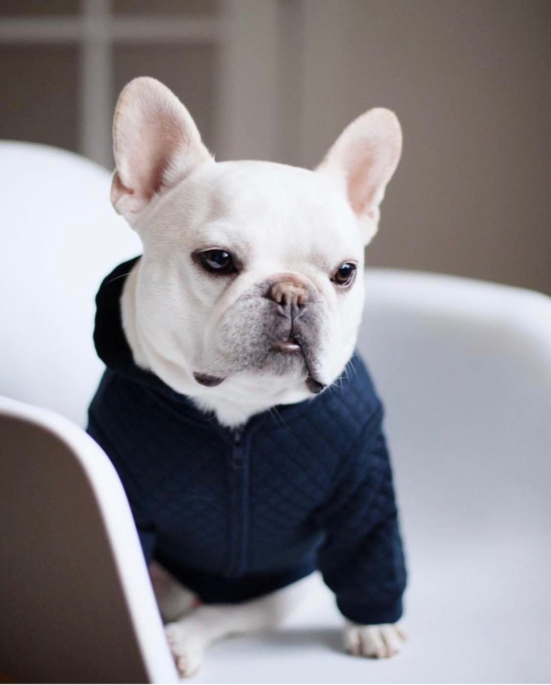 Quilted Hooded Jacket