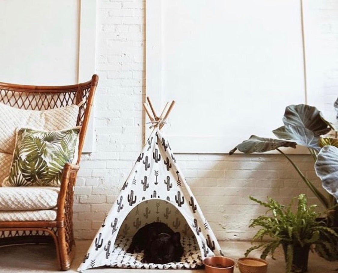 Cactus Dog Teepee