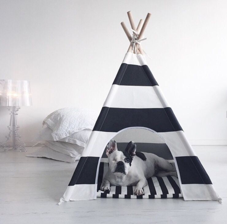 Striped Dog Teepee