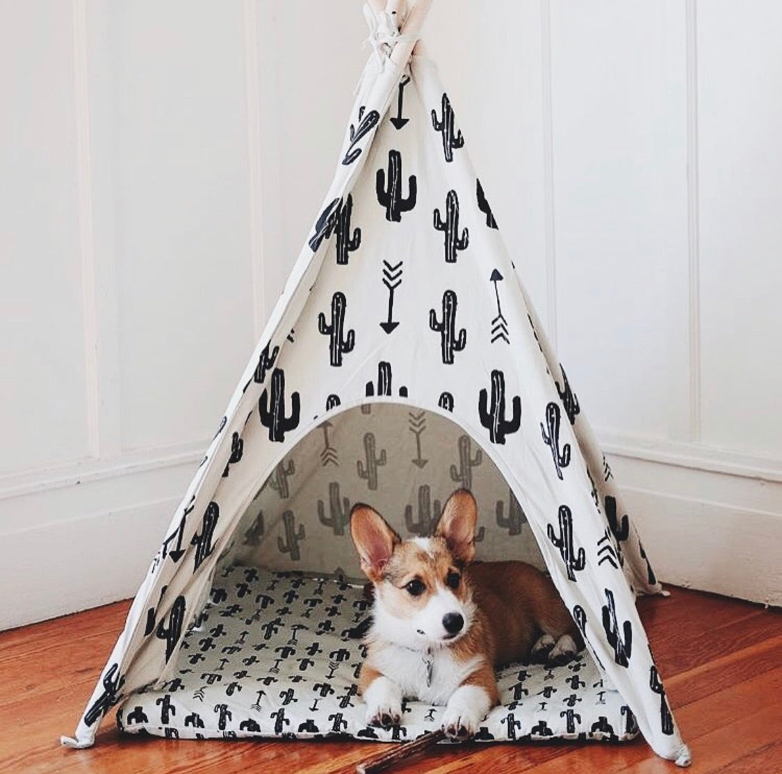 Cactus Dog Teepee