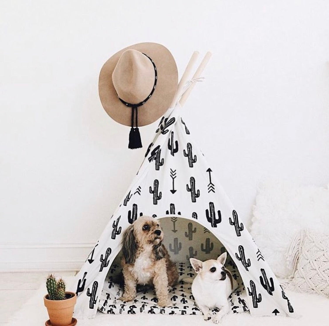 Cactus Dog Teepee