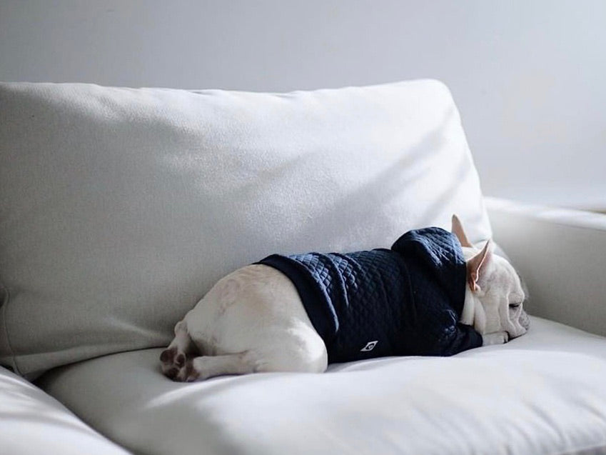 Quilted Hooded Jacket