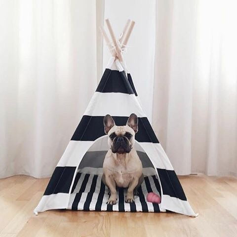 Striped Dog Teepee