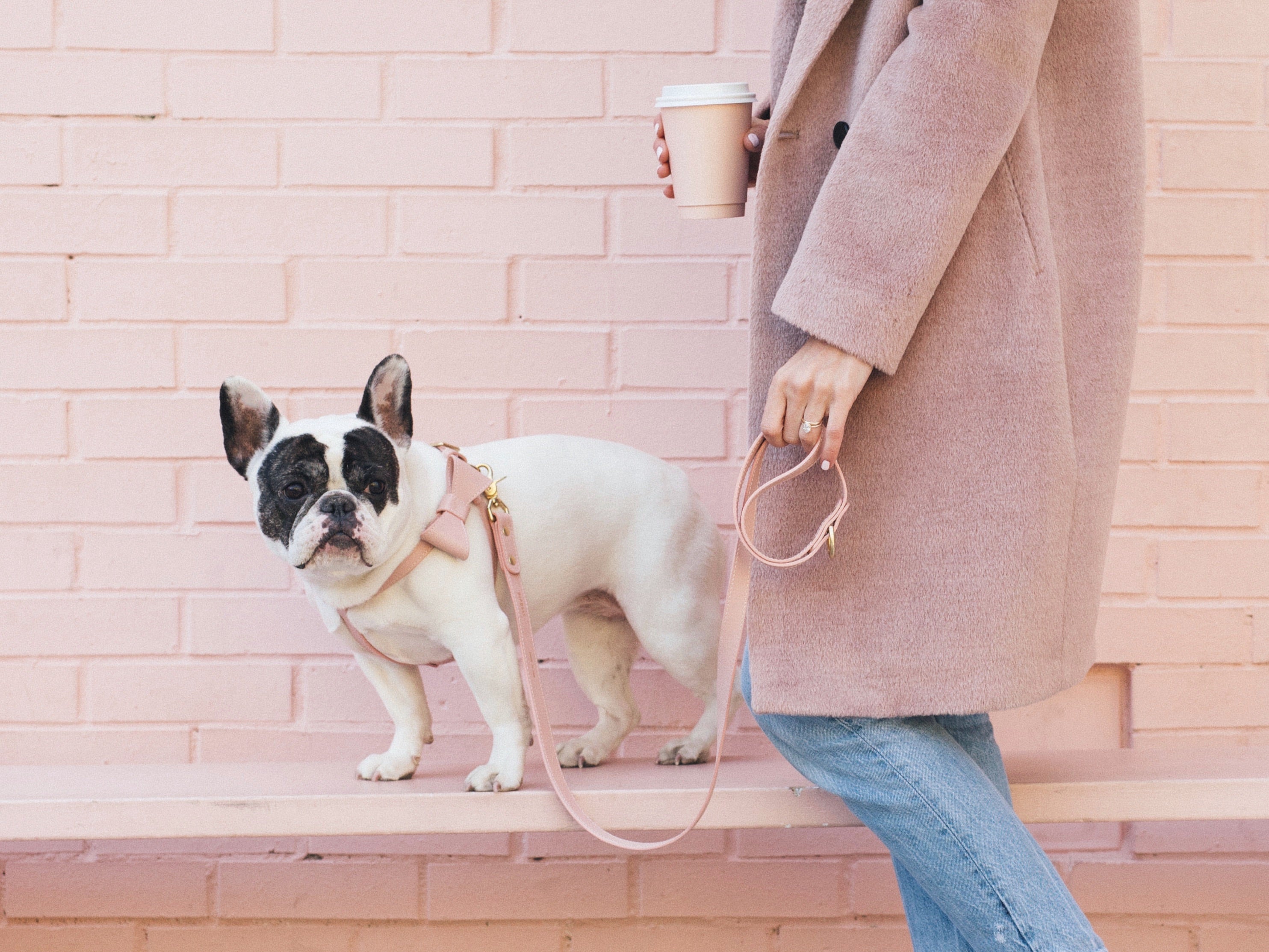 Blush pink leather leash