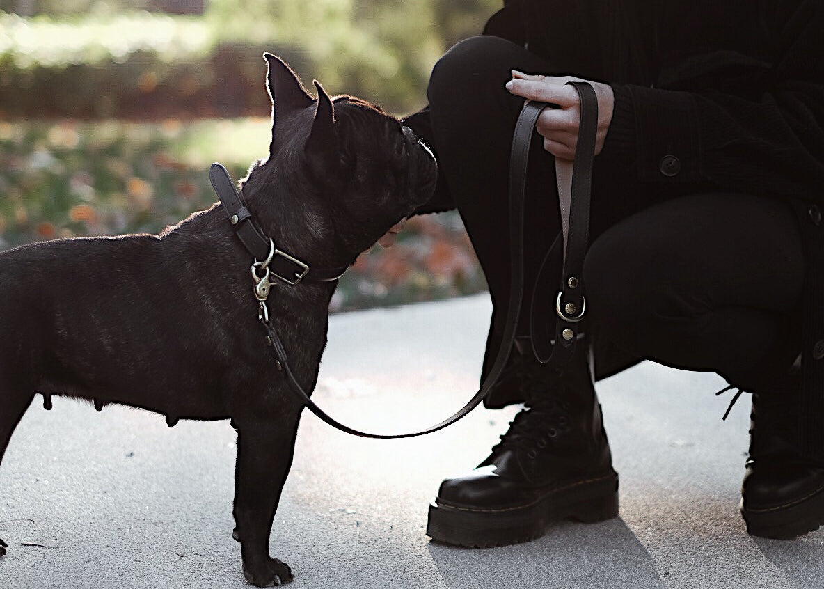 BIBI Collar - Onyx Black