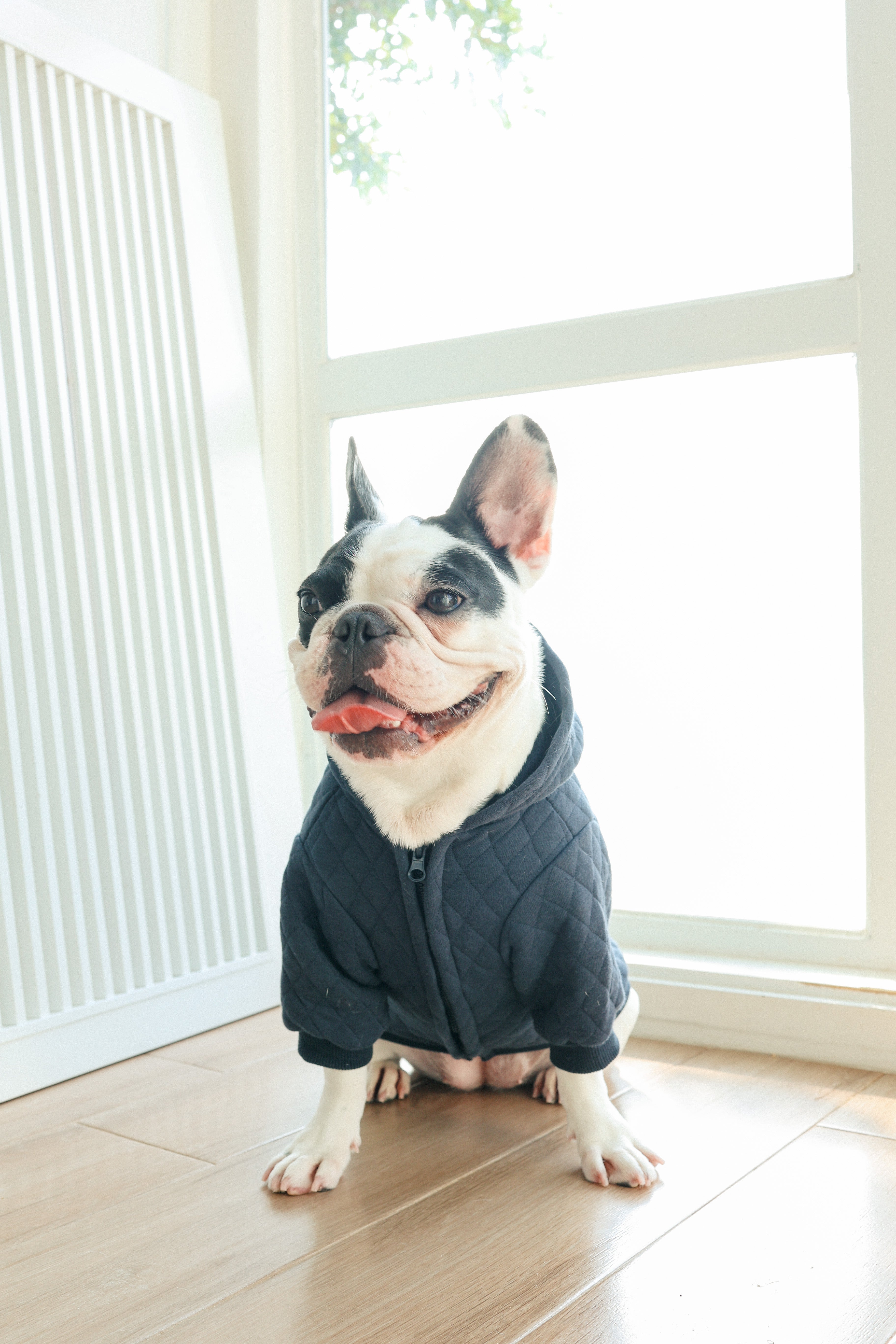 Quilted Hooded Jacket