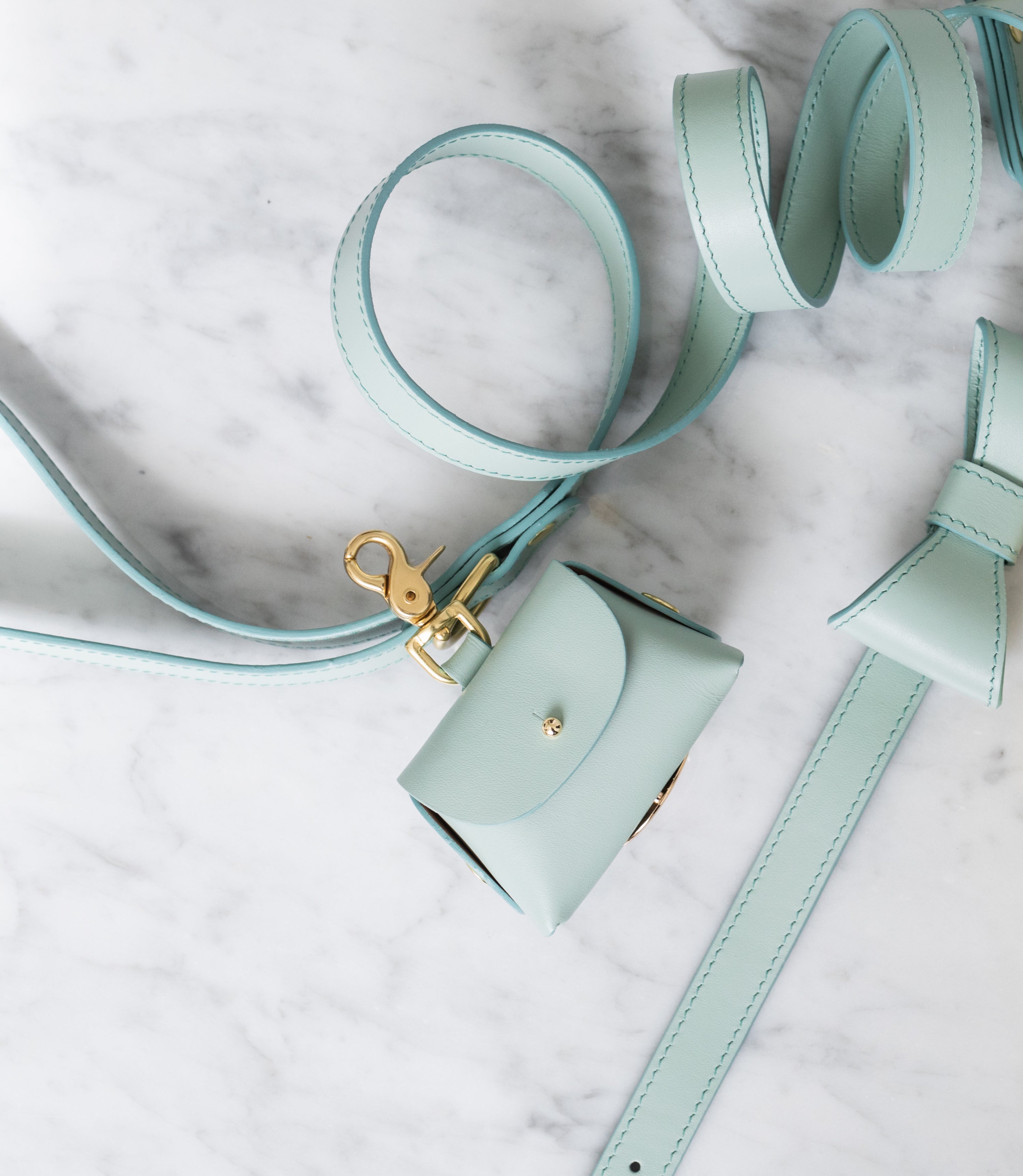 Mint poop bag pouch